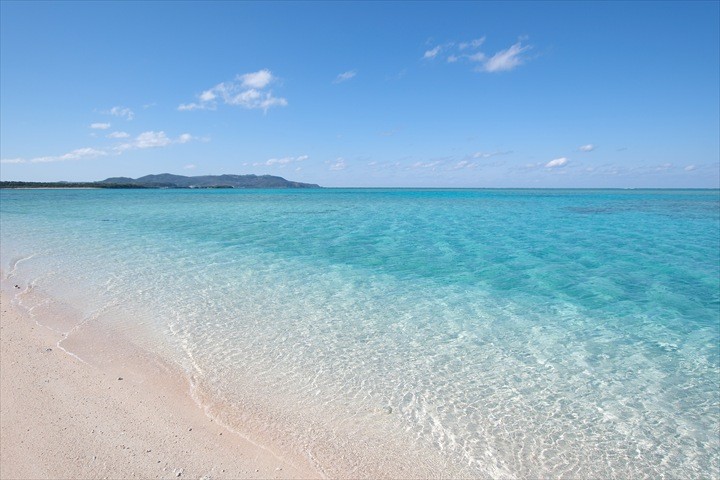 久米島　赤ちゃん