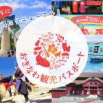 【2025年度最新】はじめてでも安心！おきなわ観光パスポートを徹底解説！