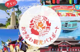 【2025年度最新】はじめてでも安心！おきなわ観光パスポートを徹底解説！