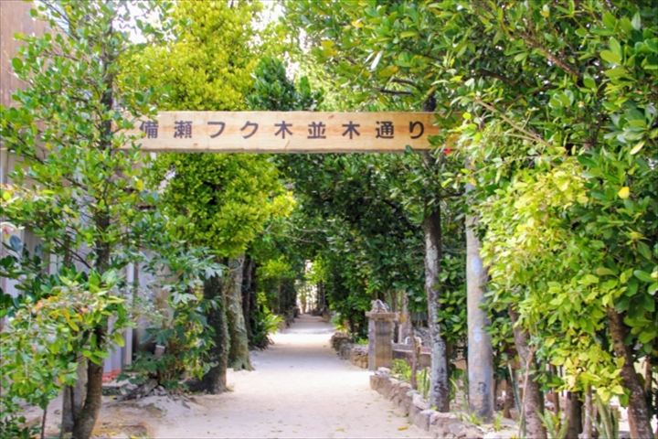 沖縄　朝活