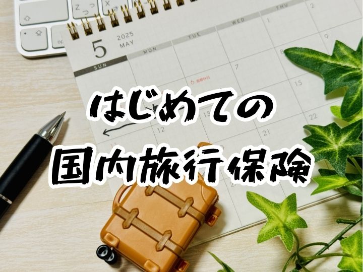 国内旅行保険