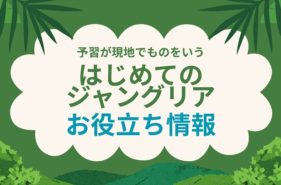 ジャングリア沖縄お役立ち情報｜初めてのジャングリアで知っておきたい観光ハック