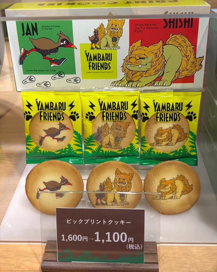 ジャングリア沖縄　お土産