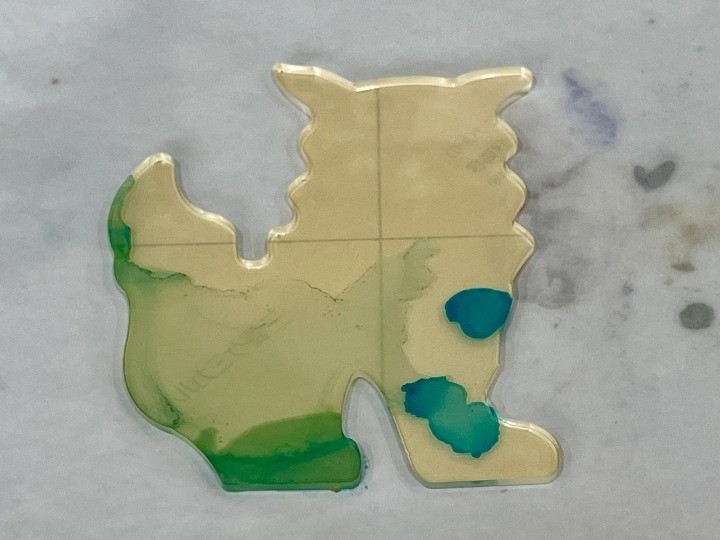 ウミノホウセキ