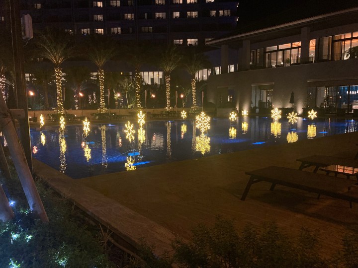 月夜のワンダーイルミネーション