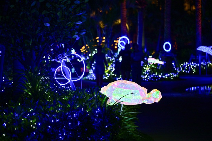 月夜のワンダーイルミネーション