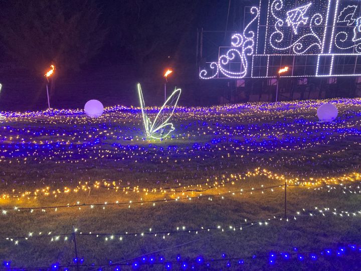 月夜のワンダーイルミネーション