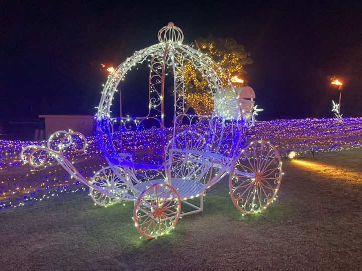月夜のワンダーイルミネーション