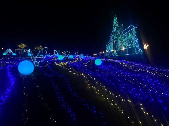 月夜のワンダーイルミネーション