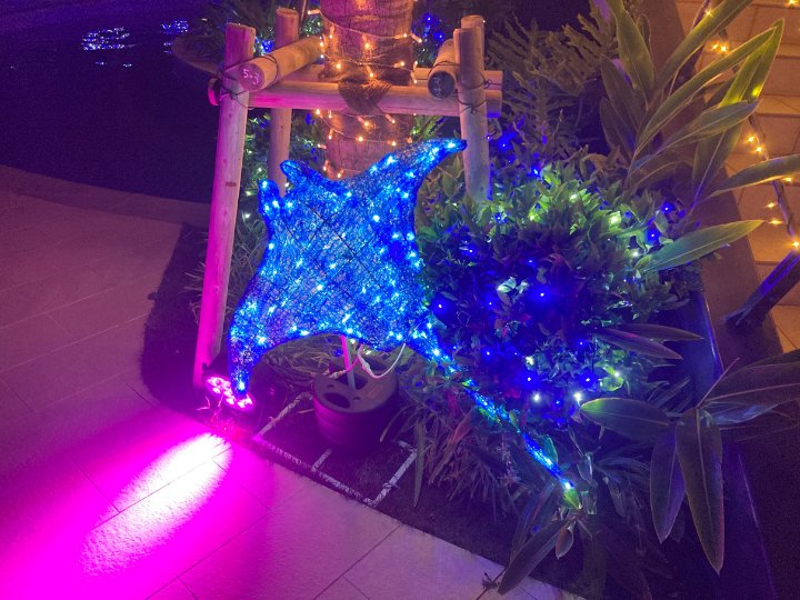 月夜のワンダーイルミネーション