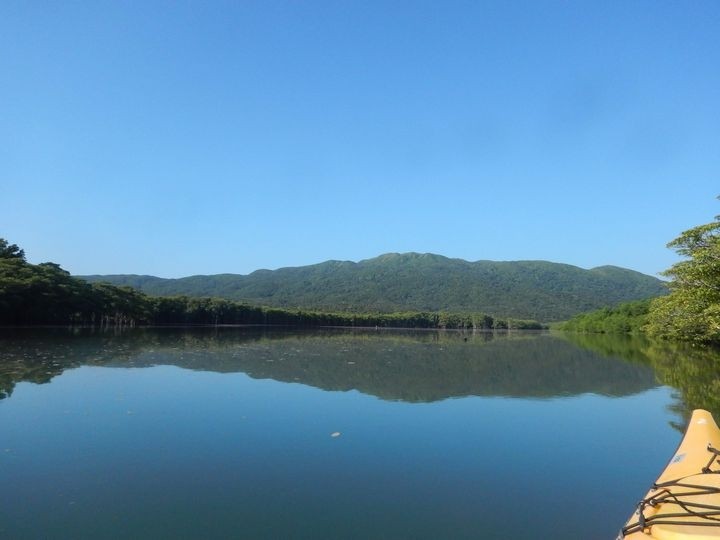 仲間川　西表島