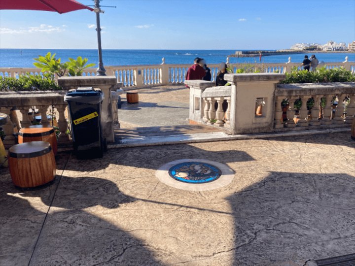 沖縄　ポケふた