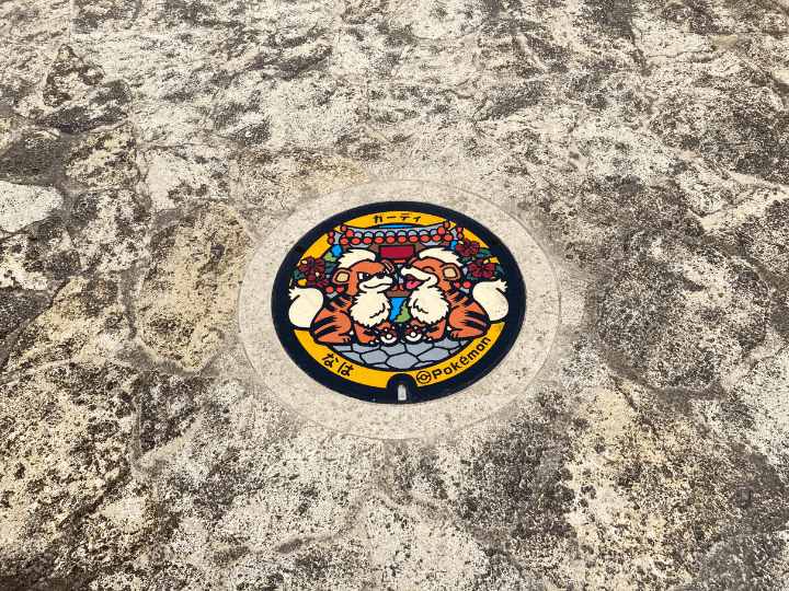 沖縄　ポケふた