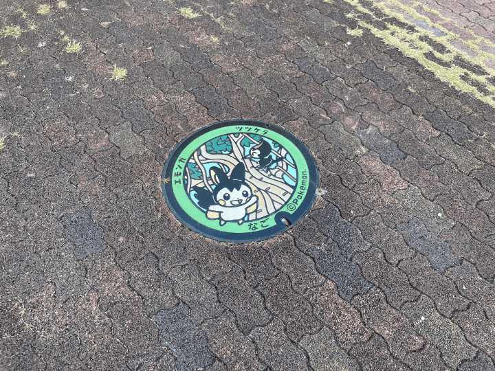 沖縄　ポケふた