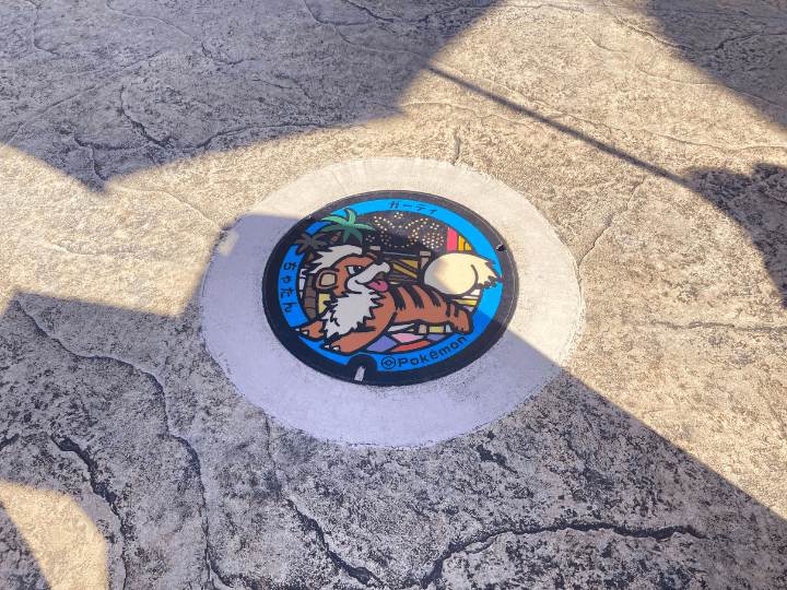 沖縄　ポケふた