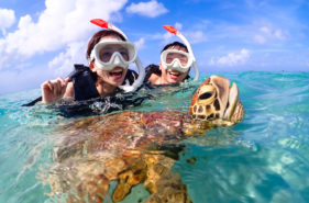 小さなお子さまを持つ若いご夫婦でも安心して参加できるウミガメシュノーケル体験