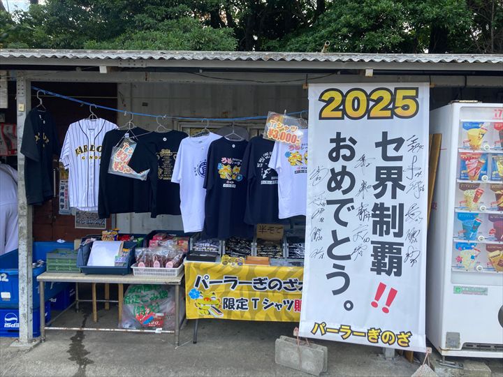 阪神タイガース　沖縄キャンプ