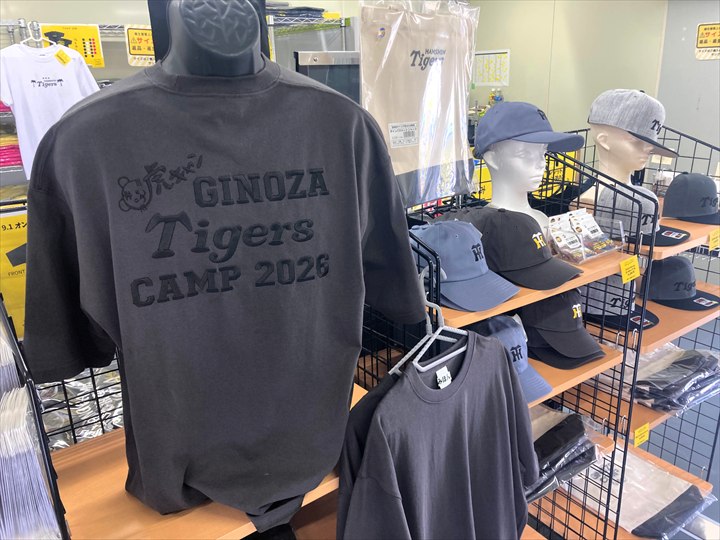 阪神タイガース　沖縄キャンプ