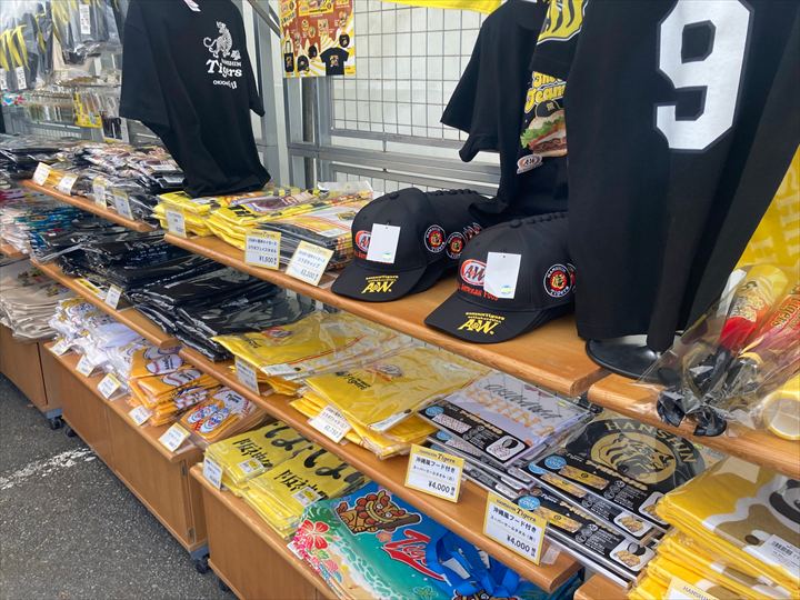 阪神タイガース　沖縄キャンプ