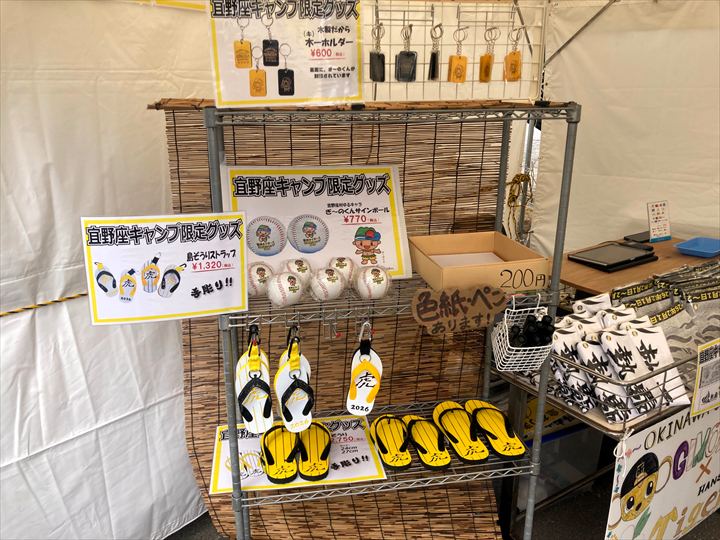 阪神タイガース　沖縄キャンプ