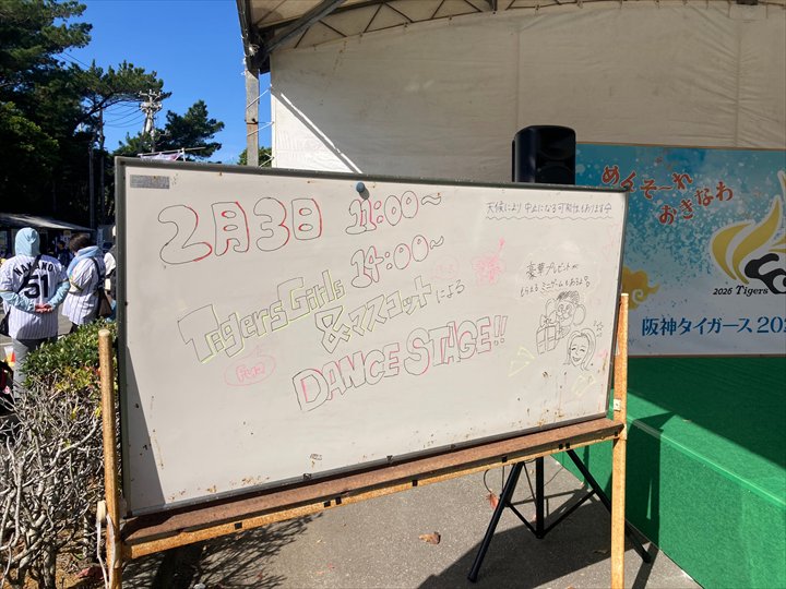 阪神タイガース　沖縄キャンプ