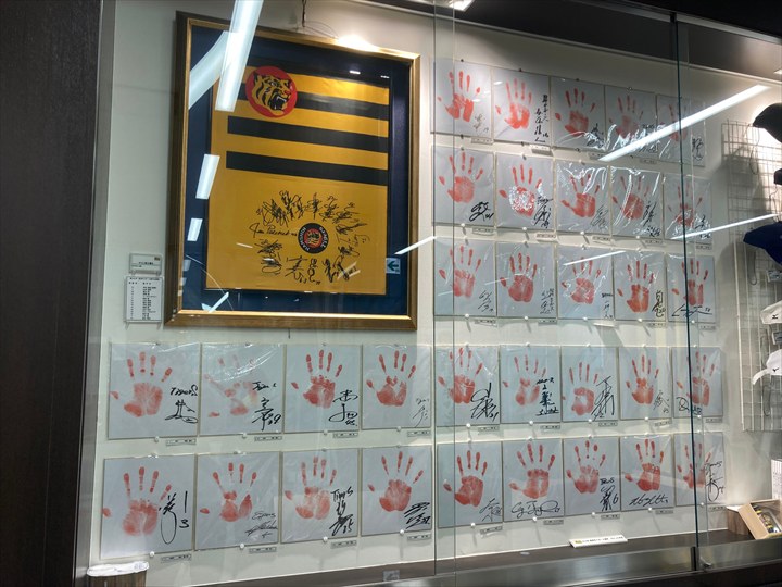 阪神タイガース　沖縄キャンプ