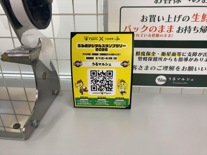 阪神タイガース　沖縄キャンプ