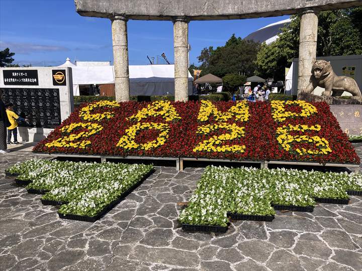 阪神タイガース　沖縄キャンプ