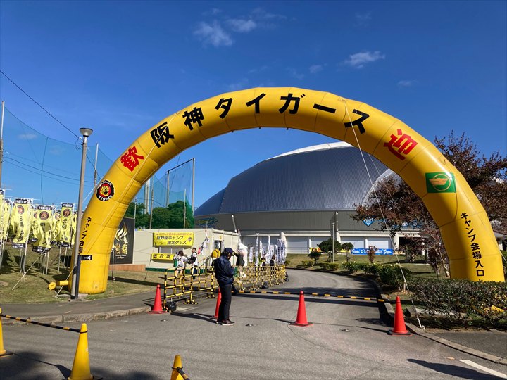 阪神タイガース　沖縄キャンプ