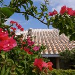 春休みの沖縄旅行ガイド｜気候・おすすめスポット・過ごし方を徹底解説