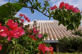 春休みの沖縄旅行ガイド｜気候・おすすめスポット・過ごし方を徹底解説