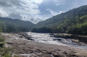 『マリユドゥの滝・カンピレーの滝』行き方・ツアーの選び方【西表島観光まるわかりガイド】