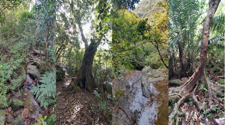 マリユドゥの滝　カンピレーの滝