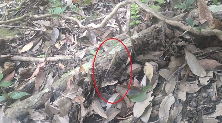 マリユドゥの滝　カンピレーの滝