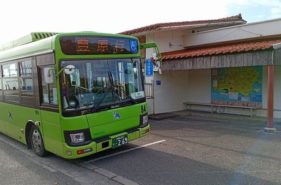 【2026年最新】西表島の路線バス完全ガイド｜時刻表・乗り方・主要スポット解説