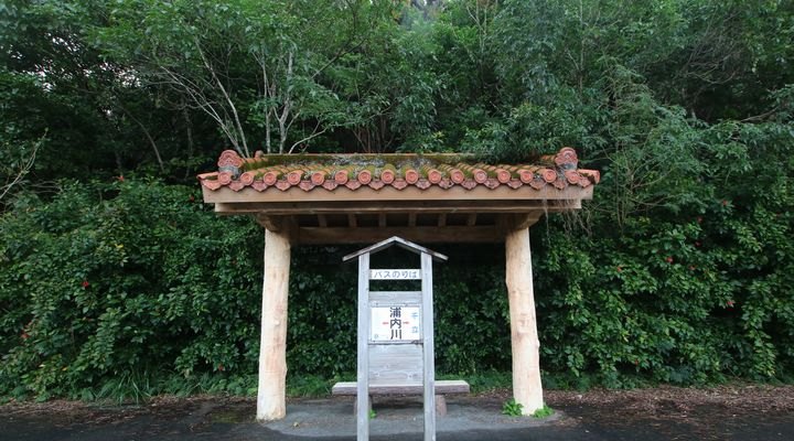 西表島　バス　浦内川