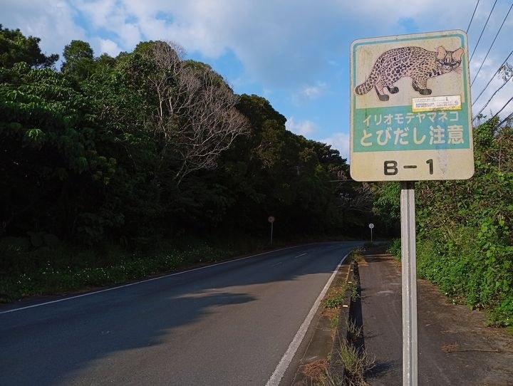 西表島　レンタカー