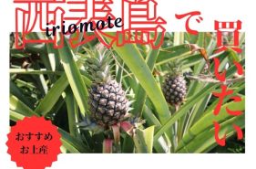 西表島のお土産おすすめ5選＆島のお土産屋さんガイド