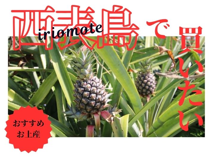 西表島　お土産