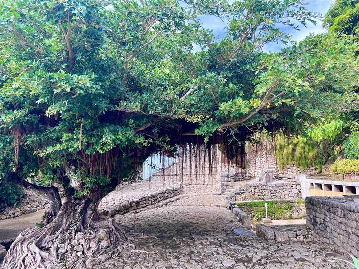 仲村渠農村公園