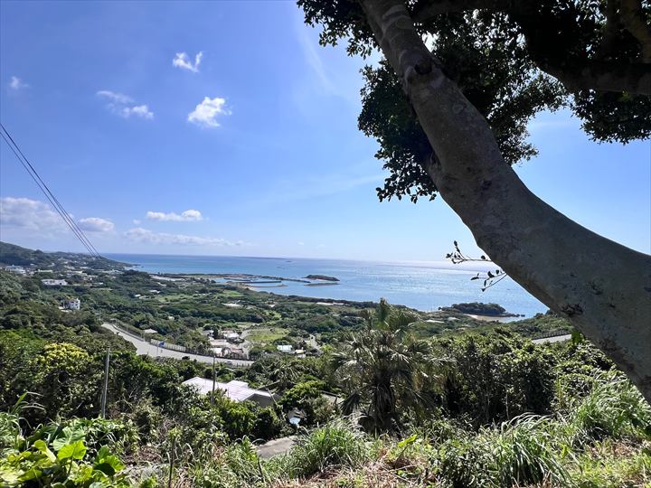 仲村渠農村公園