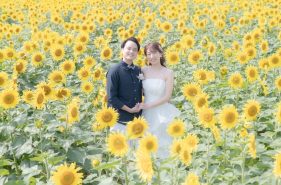 来間島がひまわり色に染まった日｜宮古島の離島で島ぐるみの花プロジェクトが動いている