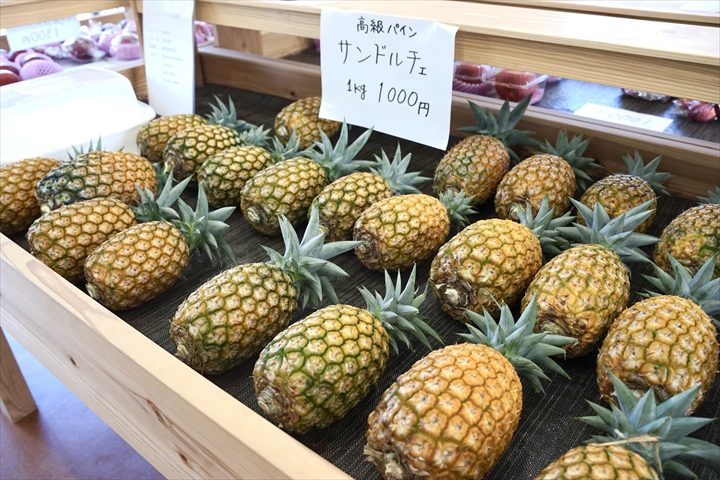 石垣島　パイナップル　直売所
