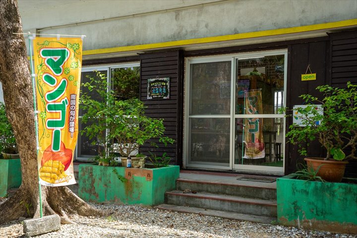 石垣島 パイナップル 直売所