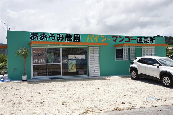石垣島 パイナップル 直売所