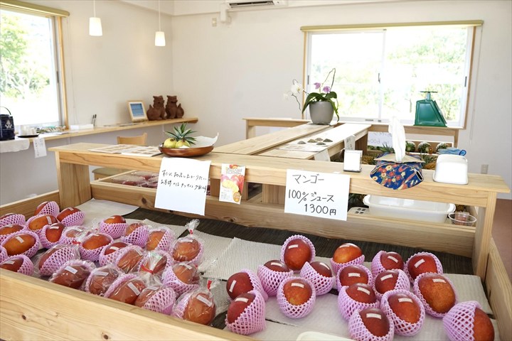 石垣島 パイナップル 直売所