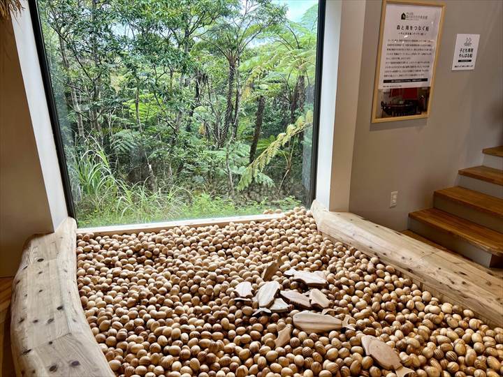 やんばる森のおもちゃ美術館
