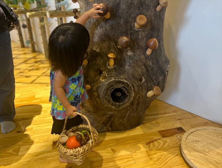 やんばる森のおもちゃ美術館