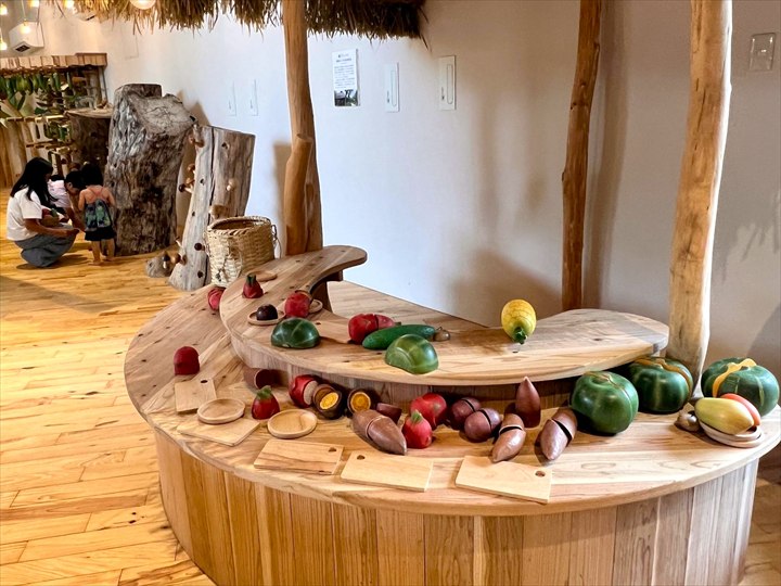 やんばる森のおもちゃ美術館