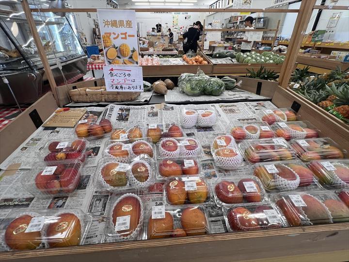 羽地の駅　やんばるたまご